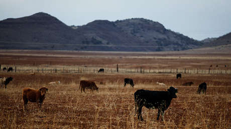 El cambio climático podría provocar migraciones de EE.UU. a México