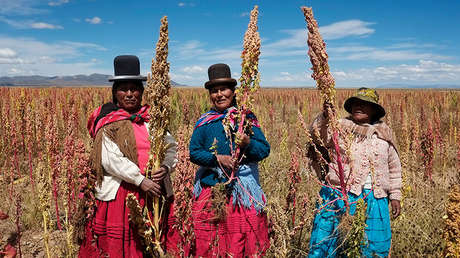 Mujeres bolivianas avanzan en su lucha por ocupar cargos en el Estado