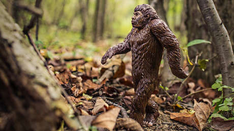 ¿Adónde vamos?: Dibujos satíricos ironizan sobre el futuro de la evolución humana (VIÑETAS)