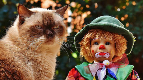 "Todos se lo pasan genial menos yo" ¿Le resulta familiar esta sensación? De ella va todo esto