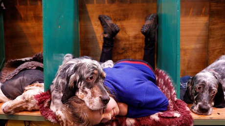 Los últimos 7 días, en vistosas imágenes llegadas de todos los rincones del planeta