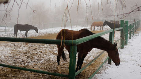 El físico nuclear ruso que vivió años como esclavo en Kazajistán