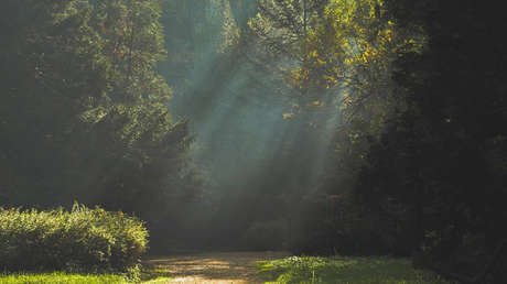Chile contará con una nueva red de parques nacionales gracias a la donación de Tompkins