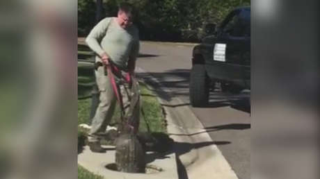 Curiosa y escalofriante 'batalla' entre un hombre y un cocodrilo