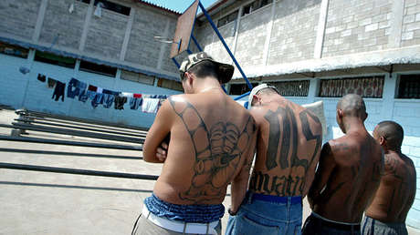 Pensó que había salvado a su hija de las maras al llevarla a EE.UU. pero se equivocó 