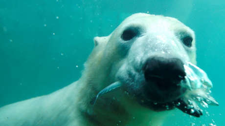 La primavera, la sangre altera: 15 imágenes curiosas y llamativas que dejó esta semana