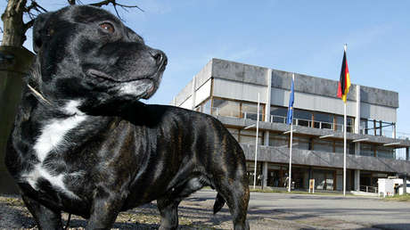 Un hombre muere atacado por su propio perro durante la grabación de un programa de la BBC