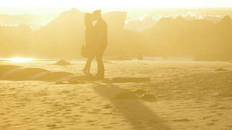 ¿Por qué tenemos sexo? Científicos revelan su importancia para resistir a las enfermedades