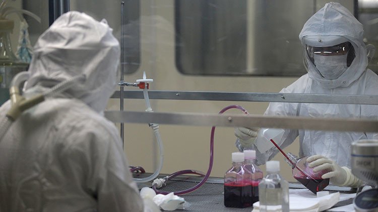 La explosiva expansión de la fiebre amarilla en Brasil