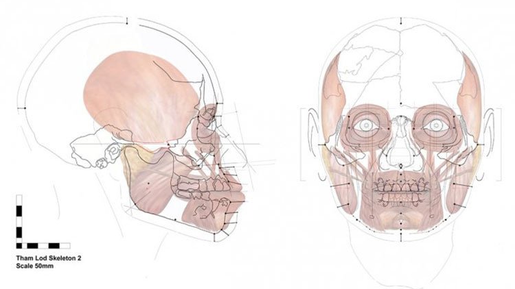 Reconstruyen el rostro de una mujer que vivió hace más de 13.000 años