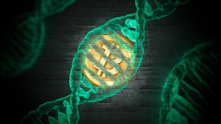 Nuevas tecnologías, nuevas formas de vida: Conozca cómo el bitcóin se convirtió en un ser viviente