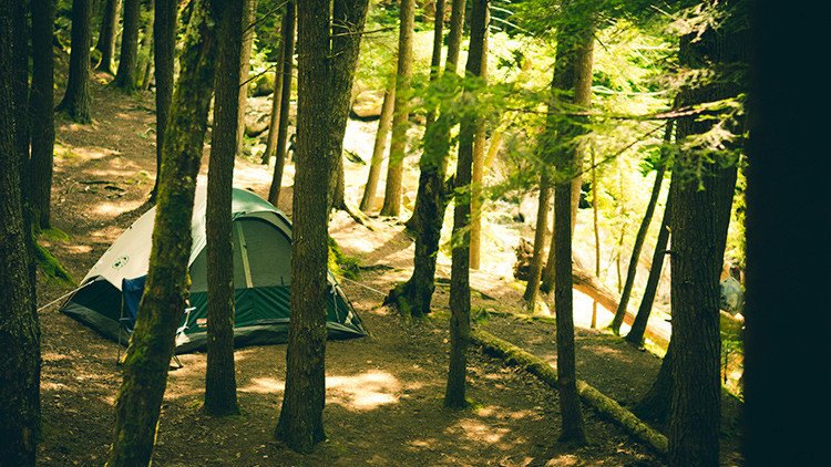Un refugiado ghanés en Alemania viola a una chica mientras obliga a mirar a su novio
