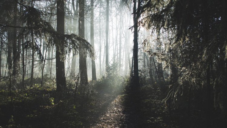 ¿Sería capaz de encontrar el peligro mortal que se esconde en esta foto?