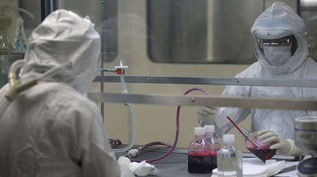 La explosiva expansión de la fiebre amarilla en Brasil