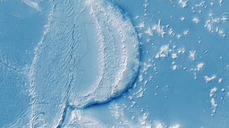 Encuentran señales de vida en la Fosa de las Marianas