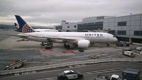 Un escorpión pica a un pasajero en un avión de United Airlines