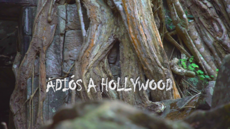 Adiós a Hollywood