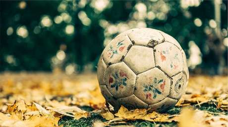 Abuela podría ser demandada por robo por no devolver las pelotas de los niños que caen a su jardín