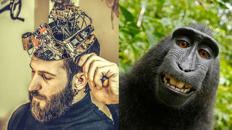 Los cerebros del ser humano y el chimpancé son más diferentes de lo que creíamos