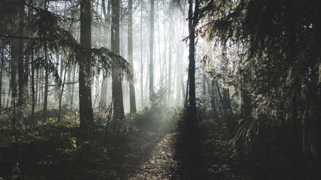 ¿Sería capaz de encontrar el peligro mortal que se esconde en esta foto?