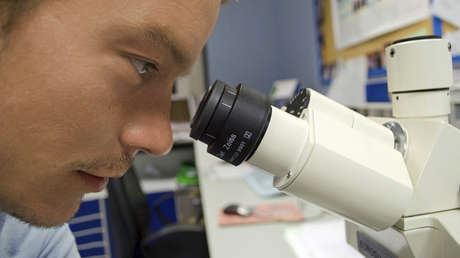 Foto: Hallan lo que podrían ser los primeros organismos multicelulares de la Tierra