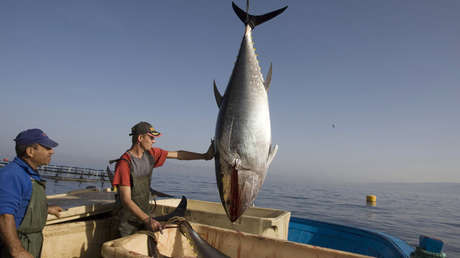 La OMC autoriza a México a multar a EE.UU. con 163 millones de dólares al año