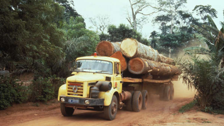 WWF recibe el premio al "mejor lavado de imagen ecológico del año"