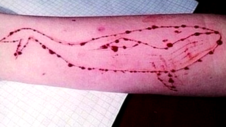 Segundo caso en España de 'la ballena azul', el juego que conduce a los jóvenes al suicidio