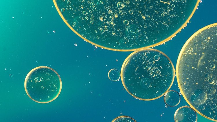 Así aparecieron las primeras células vivas en la Tierra, y no eran de origen divino