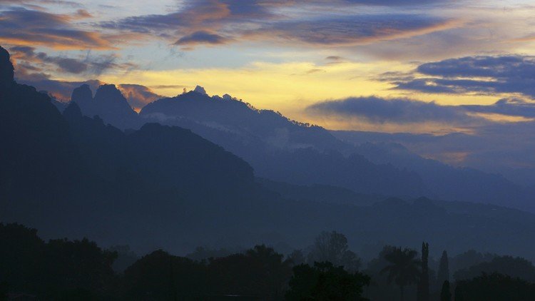 No al ecocidio: habitantes de un famoso pueblo en México se rebelan para defender sus árboles