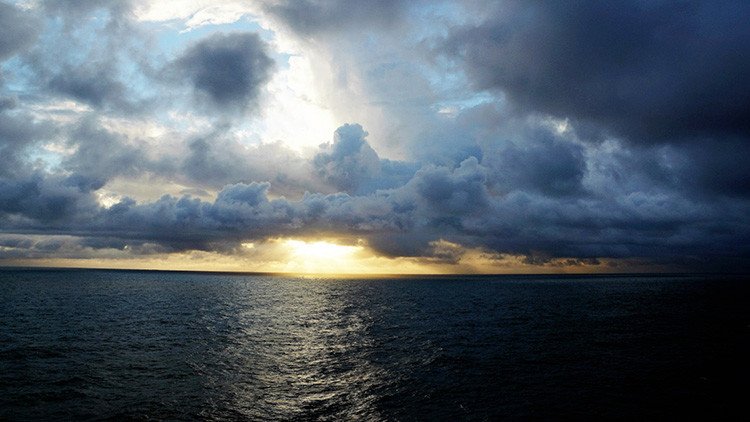 Descubren en Rusia un 'monstruo' marino del tamaño de un autobús (FOTO)