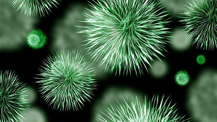 Crean un antibiótico capaz de destruir superbacterias