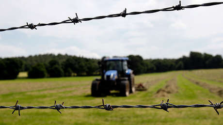 Advierten de que el 'Brexit' podría acabar con la ganadería de un territorio británica