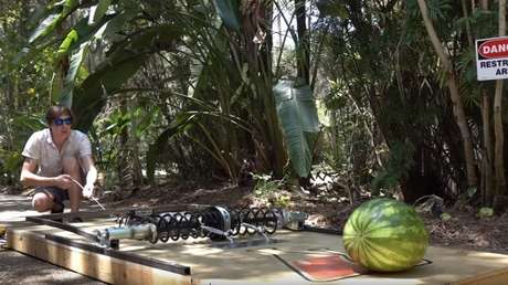 Así funciona el 'cepo de ratones' más grande del mundo