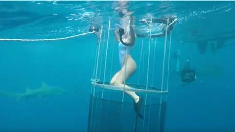 FUERTES IMÁGENES: Un tiburón muerde a una actriz porno en Florida