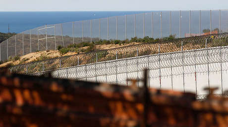 ¿Qué icónico animal podría extinguirse por culpa del muro de Trump?