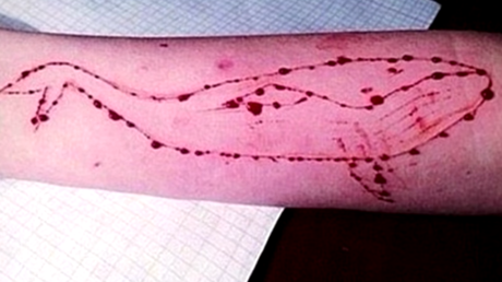 Segundo caso en España de 'la ballena azul', el juego que conduce a los jóvenes al suicidio