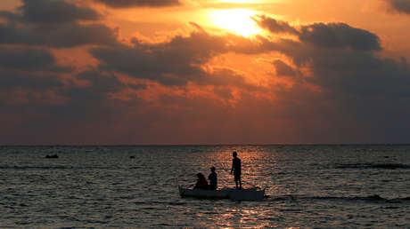 El misterio del pescado 'tatuado' de Filipinas tiene una sencilla explicación (foto)