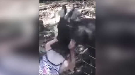 VIDEO: un canguro ataca a una niña en un parque safari en EE.UU.