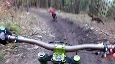 Escalofriante encontronazo entre dos ciclistas y un oso que por poco termina en tragedia