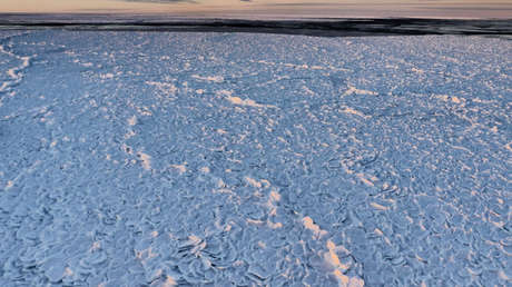 Científicos detectan una asombrosa 'piel de dragón' en la Antártida (Foto + Video)