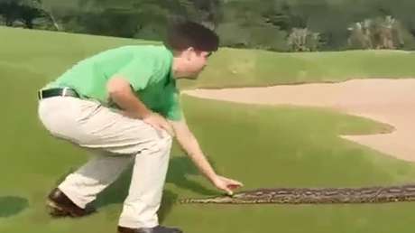 ¿Qué hacer cuando una enorme pitón te impide seguir con tu partido de golf?