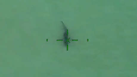 Policía de California: "Estáis haciendo surf de remo cerca de 15 tiburones blancos" (VIDEO)