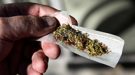 Consume 'la droga de los muertos vivientes' y se corta la nariz