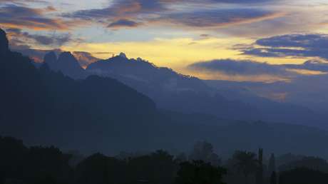 No al ecocidio: habitantes de un famoso pueblo en México se rebelan para defender sus árboles