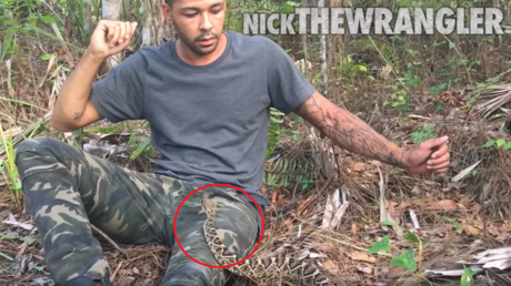 'El que busca encuentra': Se enfrenta cara a cara a un cascabel en nombre de la ciencia