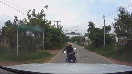 Vas en moto y una serpiente se cruza en tu camino: ¿harías esto?