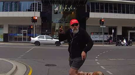 Este peatón refunfuñón recibe una lección de karma instantáneo