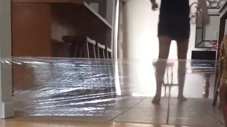 Intenta gastarle una broma a su gato, pero el karma la castiga inmediatamente 