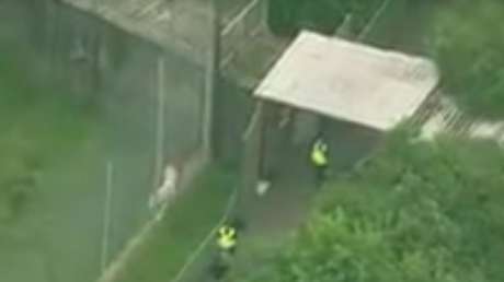 Reino Unido: Empleada de un zoológico muere en un "raro incidente" con un tigre